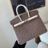 Birkin 25CM Ostrich Leather 46 EBONE 10 Carie Gold Hardware