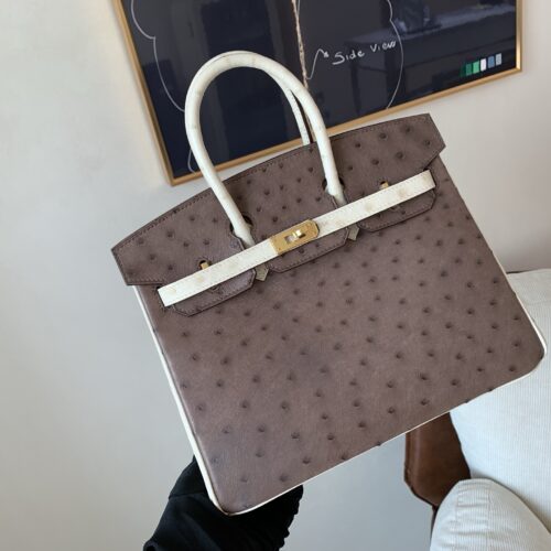 wsxc1757699663768_0 Birkin 25CM Ostrich Leather 46 EBONE 10 Carie Gold Hardware
