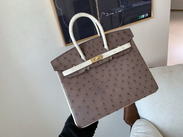 Birkin 25CM Ostrich Leather 46 EBONE 10 Carie Gold Hardware
