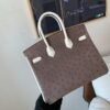 Birkin 25CM Ostrich Leather 46 EBONE 10 Carie Gold Hardware