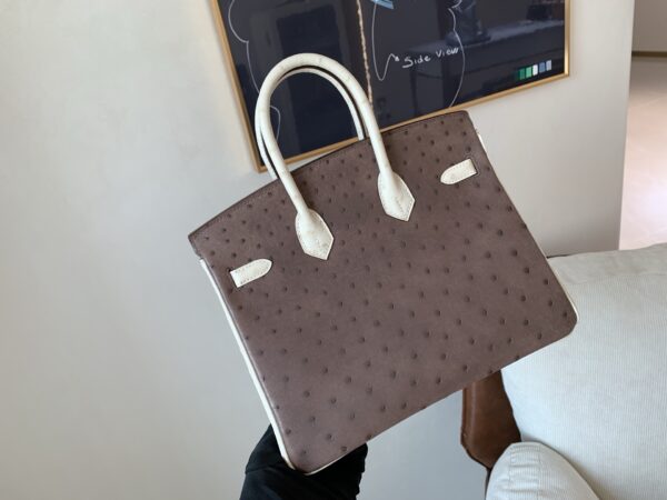 Birkin 25CM Ostrich Leather 46 EBONE 10 Carie Gold Hardware