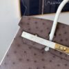 Birkin 25CM Ostrich Leather 46 EBONE 10 Carie Gold Hardware