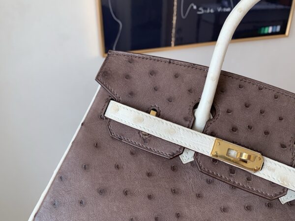 Birkin 25CM Ostrich Leather 46 EBONE 10 Carie Gold Hardware