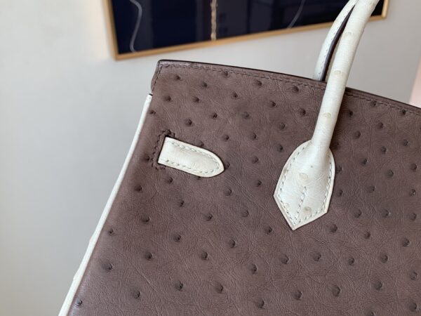 Birkin 25CM Ostrich Leather 46 EBONE 10 Carie Gold Hardware