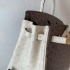 Birkin 25CM Ostrich Leather 46 EBONE 10 Carie Gold Hardware