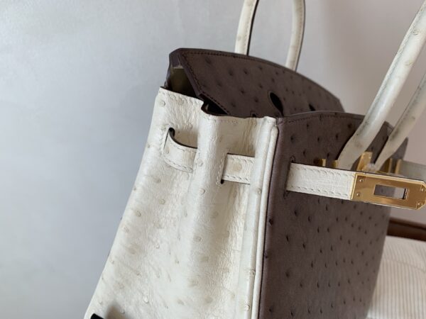 Birkin 25CM Ostrich Leather 46 EBONE 10 Carie Gold Hardware