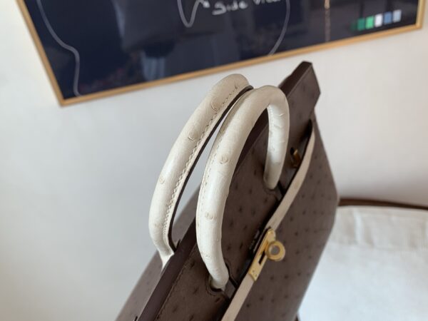 Birkin 25CM Ostrich Leather 46 EBONE 10 Carie Gold Hardware