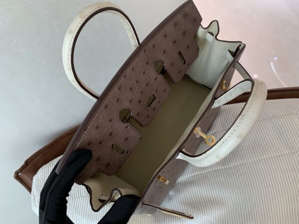Birkin 25CM Ostrich Leather 46 EBONE 10 Carie Gold Hardware