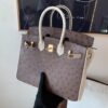 Birkin 25CM Ostrich Leather 46 EBONE 10 Carie Gold Hardware