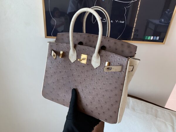 Birkin 25CM Ostrich Leather 46 EBONE 10 Carie Gold Hardware
