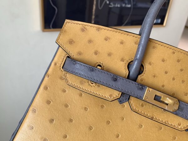 Full Handmade Top Quality Birkin 25CM CK37 8F Etain Gold Hardware Ostrich Leather