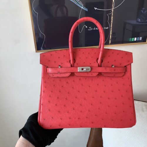 wsxc1757699667167_0 Top Handmade Birkin 25CM Ostrich Leather A5 Bougainvller Silver Hardware