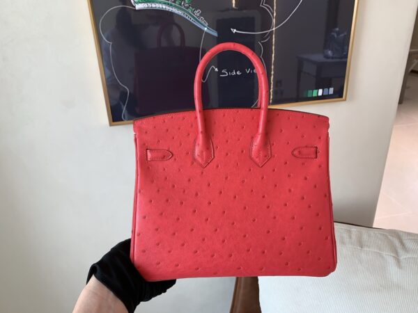 Top Handmade Birkin 25CM Ostrich Leather A5 Bougainvller Silver Hardware
