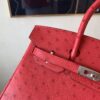 Top Handmade Birkin 25CM Ostrich Leather A5 Bougainvller Silver Hardware