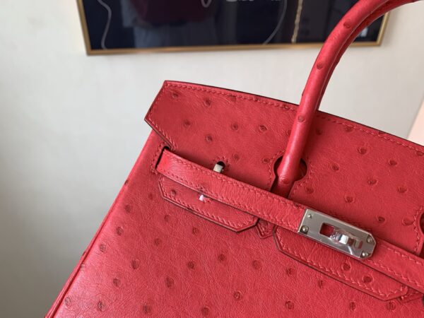 Top Handmade Birkin 25CM Ostrich Leather A5 Bougainvller Silver Hardware