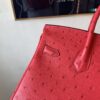 Top Handmade Birkin 25CM Ostrich Leather A5 Bougainvller Silver Hardware