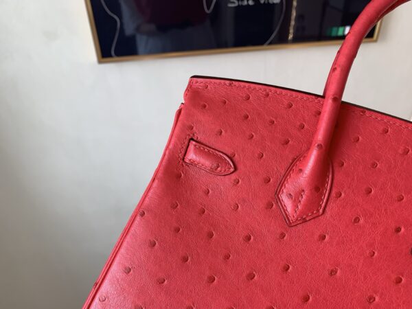 Top Handmade Birkin 25CM Ostrich Leather A5 Bougainvller Silver Hardware