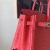 Top Handmade Birkin 25CM Ostrich Leather A5 Bougainvller Silver Hardware