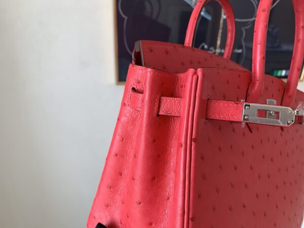 Top Handmade Birkin 25CM Ostrich Leather A5 Bougainvller Silver Hardware