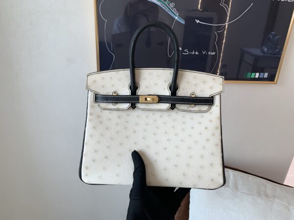 Top Quality Birkin 25CM 10 Carie 89 Nior Gold Hardware Ostrich Leather