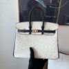 Top Quality Birkin 25CM 10 Carie 89 Nior Gold Hardware Ostrich Leather