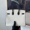 Top Quality Birkin 25CM 10 Carie 89 Nior Gold Hardware Ostrich Leather