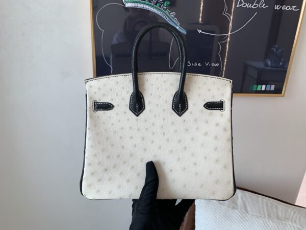 Top Quality Birkin 25CM 10 Carie 89 Nior Gold Hardware Ostrich Leather