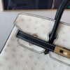 Top Quality Birkin 25CM 10 Carie 89 Nior Gold Hardware Ostrich Leather