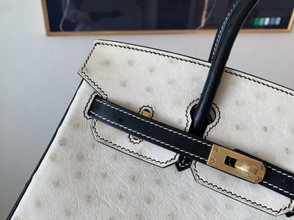 Top Quality Birkin 25CM 10 Carie 89 Nior Gold Hardware Ostrich Leather
