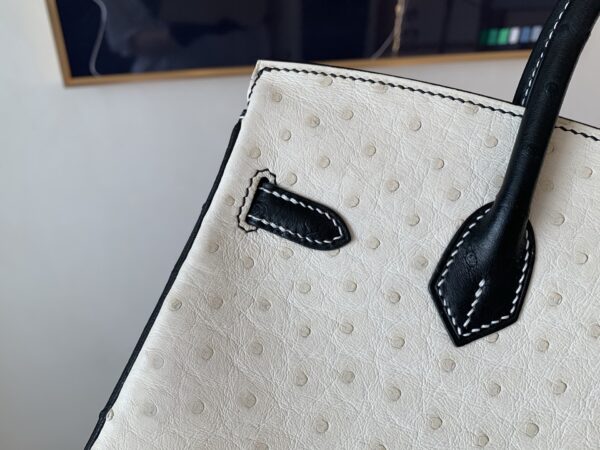 Top Quality Birkin 25CM 10 Carie 89 Nior Gold Hardware Ostrich Leather
