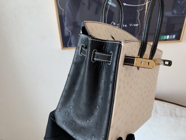 Top Quality Birkin 25CM 10 Carie 89 Nior Gold Hardware Ostrich Leather