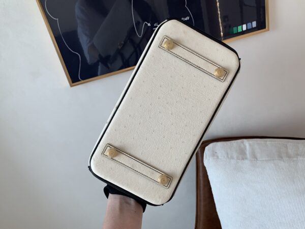 Top Quality Birkin 25CM 10 Carie 89 Nior Gold Hardware Ostrich Leather
