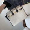 Top Quality Birkin 25CM 10 Carie 89 Nior Gold Hardware Ostrich Leather