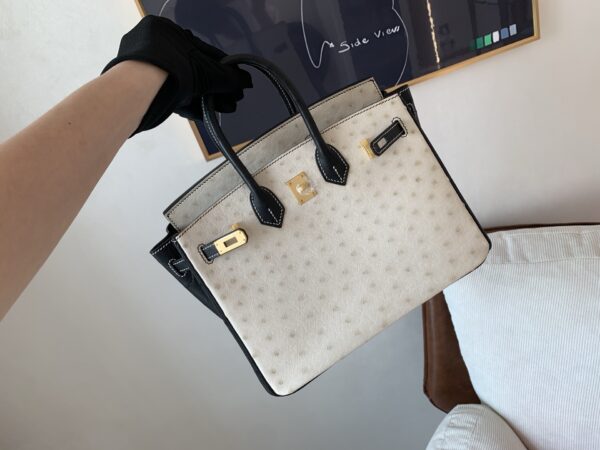 Top Quality Birkin 25CM 10 Carie 89 Nior Gold Hardware Ostrich Leather