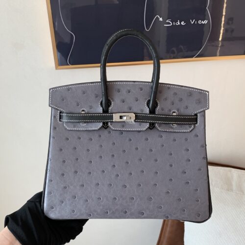 Full Handmade Birkin 25CM Ostrich Leather 8F Etain 89 Nior Silver Hardware