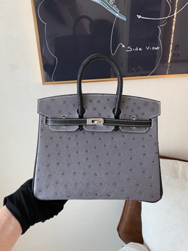 Full Handmade Birkin 25CM Ostrich Leather 8F Etain 89 Nior Silver Hardware