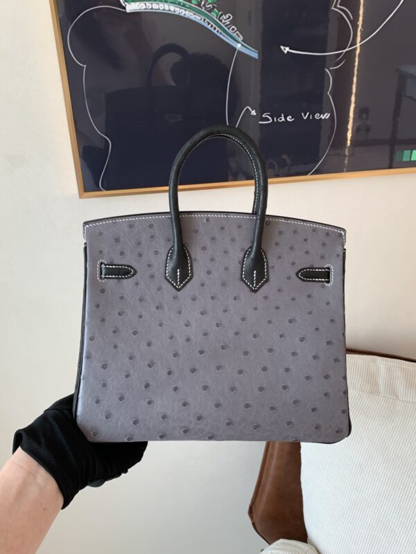 Full Handmade Birkin 25CM Ostrich Leather 8F Etain 89 Nior Silver Hardware