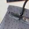 Full Handmade Birkin 25CM Ostrich Leather 8F Etain 89 Nior Silver Hardware