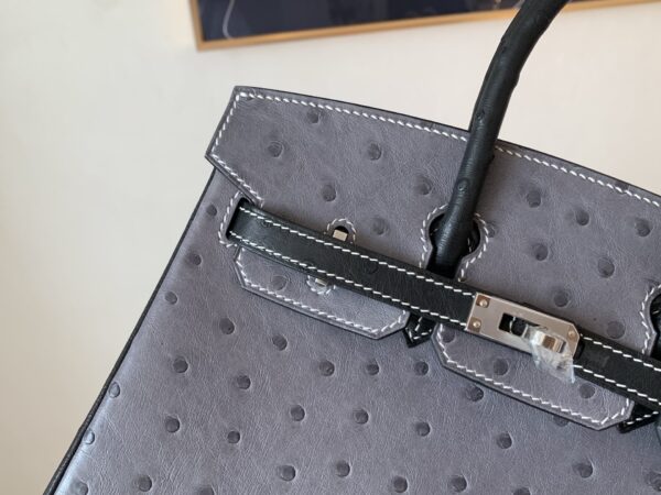 Full Handmade Birkin 25CM Ostrich Leather 8F Etain 89 Nior Silver Hardware