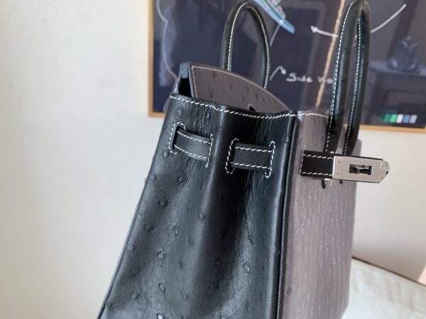Full Handmade Birkin 25CM Ostrich Leather 8F Etain 89 Nior Silver Hardware