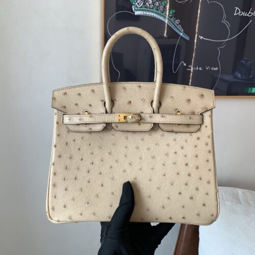 wsxc1757699674174_0 Full Handmade Birkin 25CM S2 Trench Gold Hardware Ostrich Leather