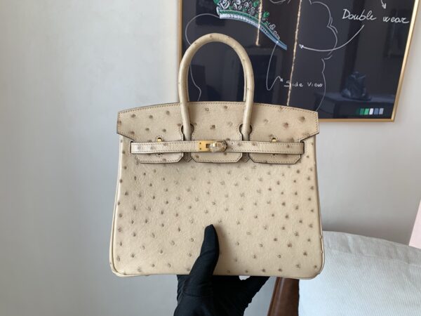 Full Handmade Birkin 25CM S2 Trench Gold Hardware Ostrich Leather