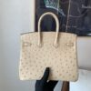 Full Handmade Birkin 25CM S2 Trench Gold Hardware Ostrich Leather