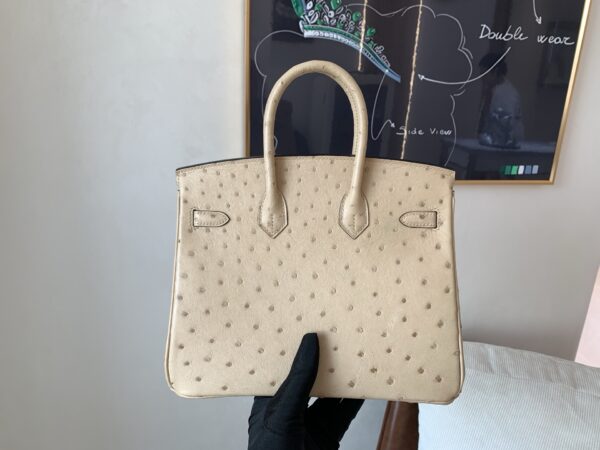 Full Handmade Birkin 25CM S2 Trench Gold Hardware Ostrich Leather