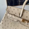 Full Handmade Birkin 25CM S2 Trench Gold Hardware Ostrich Leather