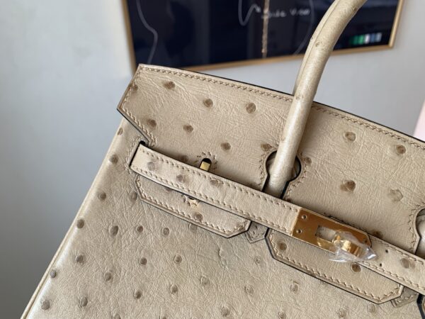 Full Handmade Birkin 25CM S2 Trench Gold Hardware Ostrich Leather