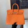 Birkin 25CM Full Handmade 93 Orange Ostrich Leather Silver Hardware