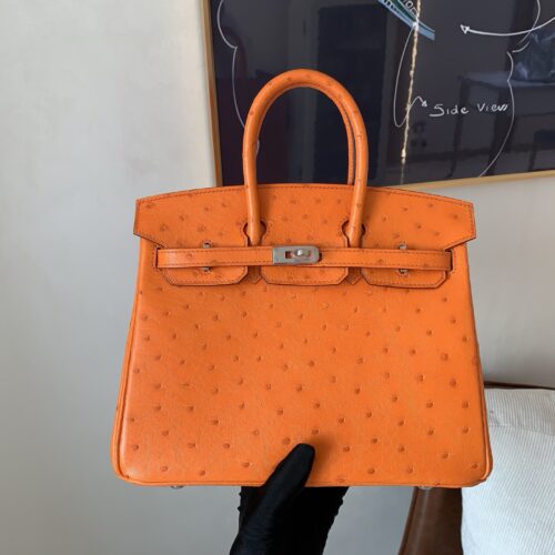 wsxc1757699675826_0 Birkin 25CM Full Handmade 93 Orange Ostrich Leather Silver Hardware