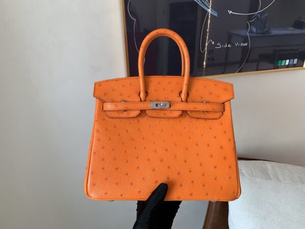 Birkin 25CM Full Handmade 93 Orange Ostrich Leather Silver Hardware
