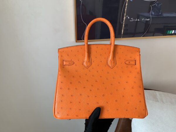 Birkin 25CM Full Handmade 93 Orange Ostrich Leather Silver Hardware
